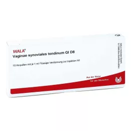 VAGINAE synoviales tendinum GL D 8 Ampullen, 10X1 ml