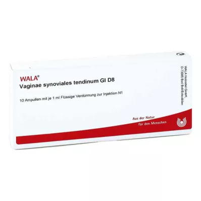 VAGINAE synoviales tendinum GL D 8 Ampullen, 10X1 ml VAGINAE synoviales tendinum GL D 8 Ampullen, 10X1 ml