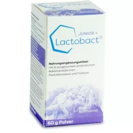 LACTOBACT Junior Pulver, 60 g
