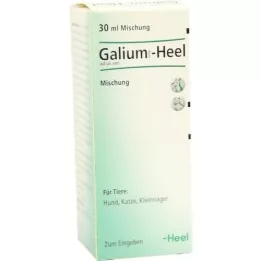 GALIUM COMP.-Heel ad us.vet.Tropfen, 30 ml
