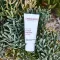 ALOE VERA CREME medium ohne Duft, 30 ml