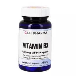 VITAMIN B3 100 mg GPH Kapseln, 60 St