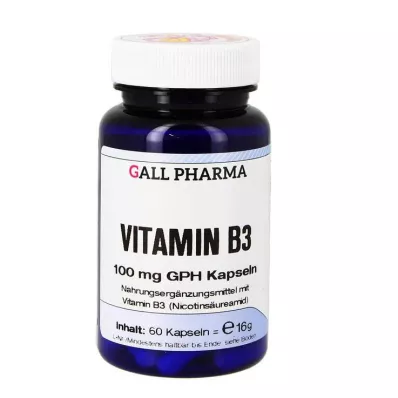 VITAMIN B3 100 mg GPH Kapseln, 60 St