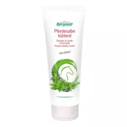 PFERDESALBE kühlend, 100 ml