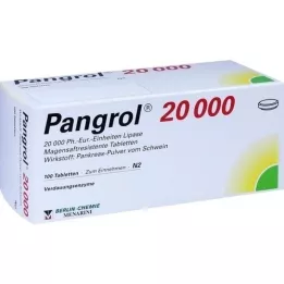 PANGROL 20.000 magensaftresistente Tabletten, 100 St