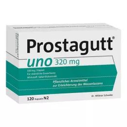 PROSTAGUTT uno Kapseln, 120 St