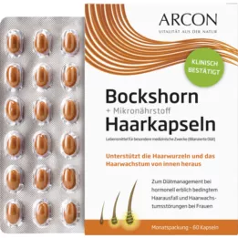 BOCKSHORN+Mikronährstoff Haarkapseln Tisane plus, 60 St