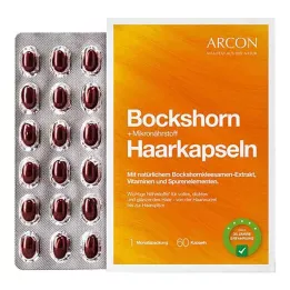 BOCKSHORN+Mikronährstoff Haarkapseln Tisane plus, 60 St