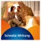VOLTAREN Dolo Liquid 25 mg Weichkapseln, 10 St