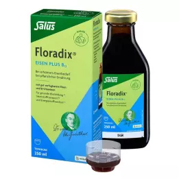 FLORADIX Eisen plus B12 vegan Tonikum, 250 ml
