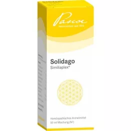 SOLIDAGO SIMILIAPLEX Tropfen, 50 ml