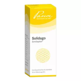 SOLIDAGO SIMILIAPLEX Tropfen, 50 ml