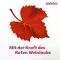 ANTISTAX extra Venentabletten, 90 St
