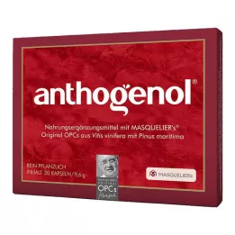 ANTHOGENOL Masquelier OPC Kapseln, 30 St