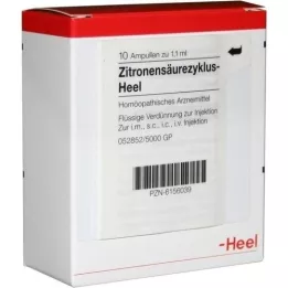 ZITRONENSÄUREZYKLUS Heel Ampullen, 10 St