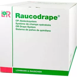 RAUCODRAPE N Ohr Lochtuch 175x240 cm 2lagig sk, 11 St