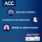 ACC akut 600 Brausetabletten, 10 St
