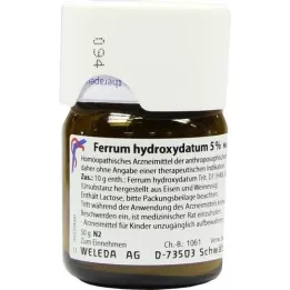 FERRUM HYDROXYDATUM 5% Trituration, 50 g