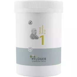 BIOCHEMIE Pflüger 1 Calcium fluoratum D 12 Tabl., 4000 St