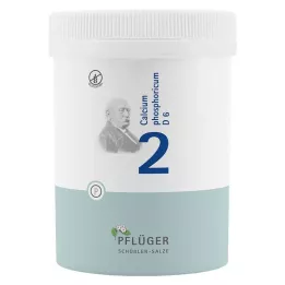 BIOCHEMIE Pflüger 2 Calcium phosphoricum D 6 Tabl., 1000 St