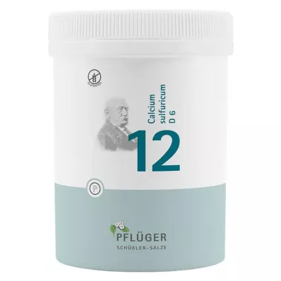 BIOCHEMIE Pflüger 12 Calcium sulfuricum D 6 Tabl., 1000 St BIOCHEMIE Pflüger 12 Calcium sulfuricum D 6 Tabl., 1000 St