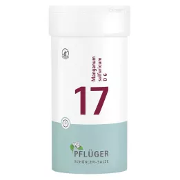 BIOCHEMIE Pflüger 17 Manganum sulfuricum D 6 Tabl., 400 St