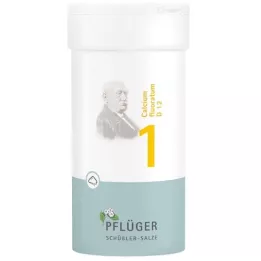 BIOCHEMIE Pflüger 1 Calcium fluoratum D 12 Pulver, 100 g