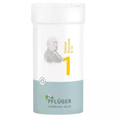 BIOCHEMIE Pflüger 1 Calcium fluoratum D 12 Pulver, 100 g