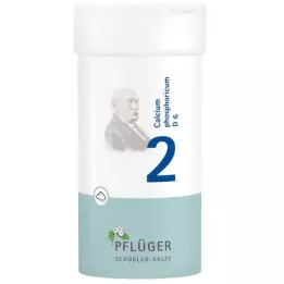 BIOCHEMIE Pflüger 2 Calcium phosphoricum D 6 Pulv., 100 g