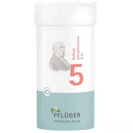 BIOCHEMIE Pflüger 5 Kalium phosphoricum D 6 Pulver, 100 g