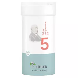 BIOCHEMIE Pflüger 5 Kalium phosphoricum D 6 Pulver, 100 g