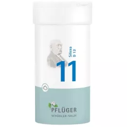 BIOCHEMIE Pflüger 11 Silicea D 12 Pulver, 100 g