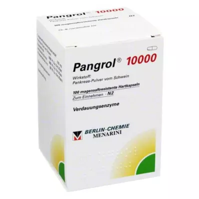 PANGROL 10.000 Hartkps.m.magensaftr.überz.Pell., 100 St PANGROL 10.000 Hartkps.m.magensaftr.überz.Pell., 100 St
