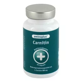 AMINOPLUS Carnitin Kapseln, 60 St