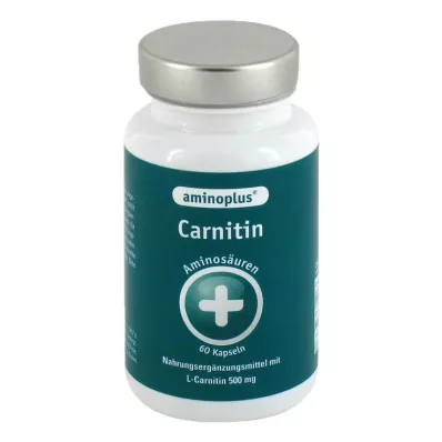 AMINOPLUS Carnitin Kapseln, 60 St