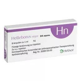 HELLEBORUS NIGER D 4 aquos.Ampullen, 8 St