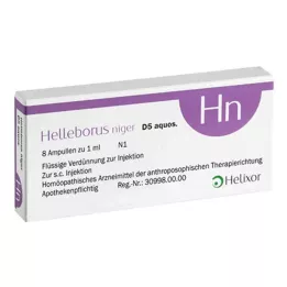HELLEBORUS NIGER D 5 aquos.Ampullen, 8 St