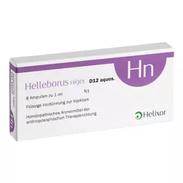 HELLEBORUS NIGER D 12 aquos.Ampullen, 8 St
