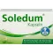 SOLEDUM 100 mg magensaftresistente Kapseln, 100 St