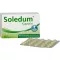 SOLEDUM 100 mg magensaftresistente Kapseln, 100 St