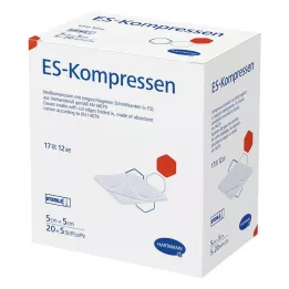 ES-KOMPRESSEN steril 5x5 cm 12fach Großpackung, 20X5 St