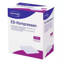ES-KOMPRESSEN steril 5x5 cm 12fach Großpackung, 5X20 St
