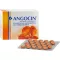 ANGOCIN Anti Infekt N Filmtabletten, 200 St