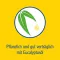 PINIMENTHOL Erkältungsbad f.Kind ab 2 J.Eucalyptus, 30 ml