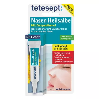 Tetesept Nasen Heilsalbe, 5 g