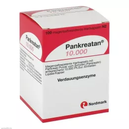 PANKREATAN 10.000 magensaftresistente Hartkapseln, 100 St