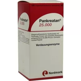 PANKREATAN 25.000 magensaftresistente Hartkapseln, 100 St