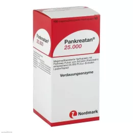 PANKREATAN 25.000 magensaftresistente Hartkapseln, 100 St