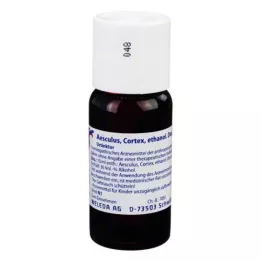 AESCULUS CORTEX äth.Decoct.Urtinktur D 1, 50 ml