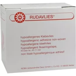 RUDAVLIES Klebevlies 10 cmx10 m, 1 St